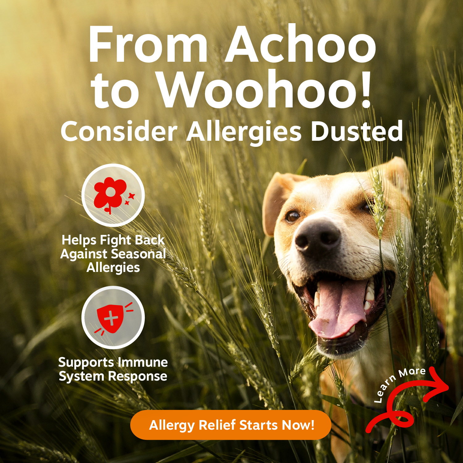 Ancient Elements™ Aller-Immune Bites™ for Dogs