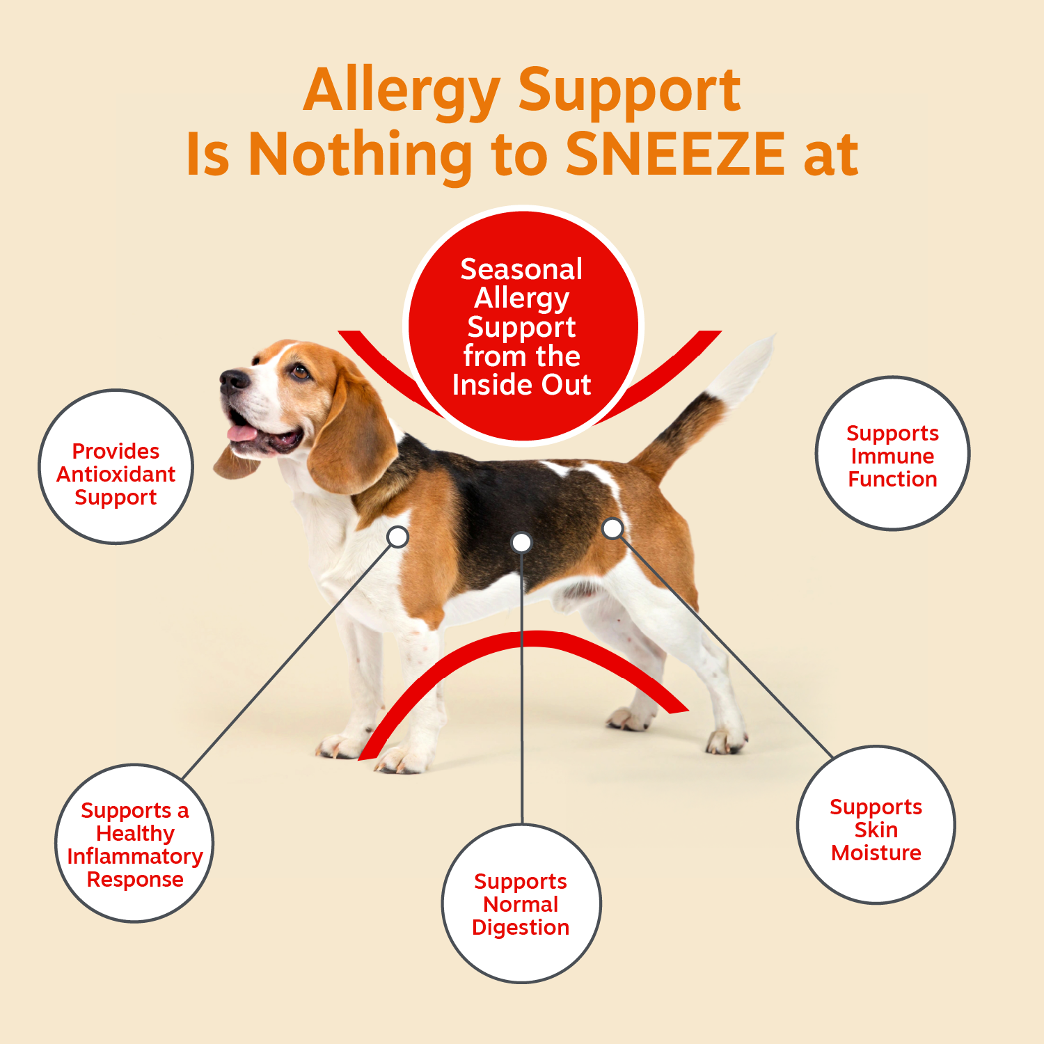 Ancient Elements™ Aller-Immune Bites™ for Dogs