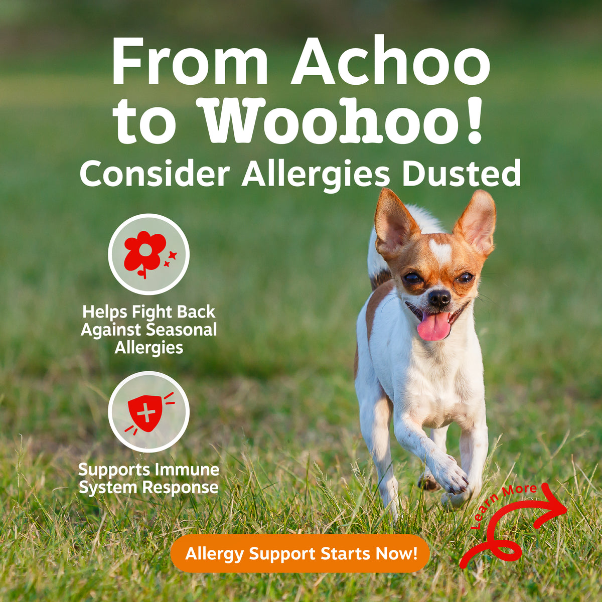Allergy & Immune Mini Bites for Small Dogs