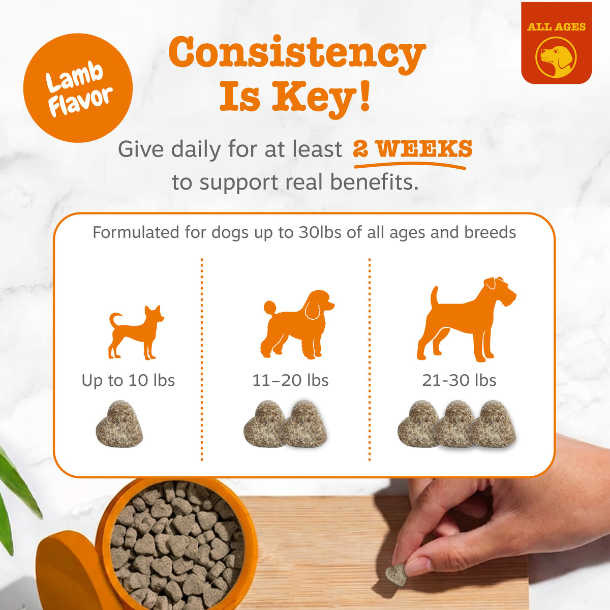 Allergy & Immune Mini Bites for Small Dogs