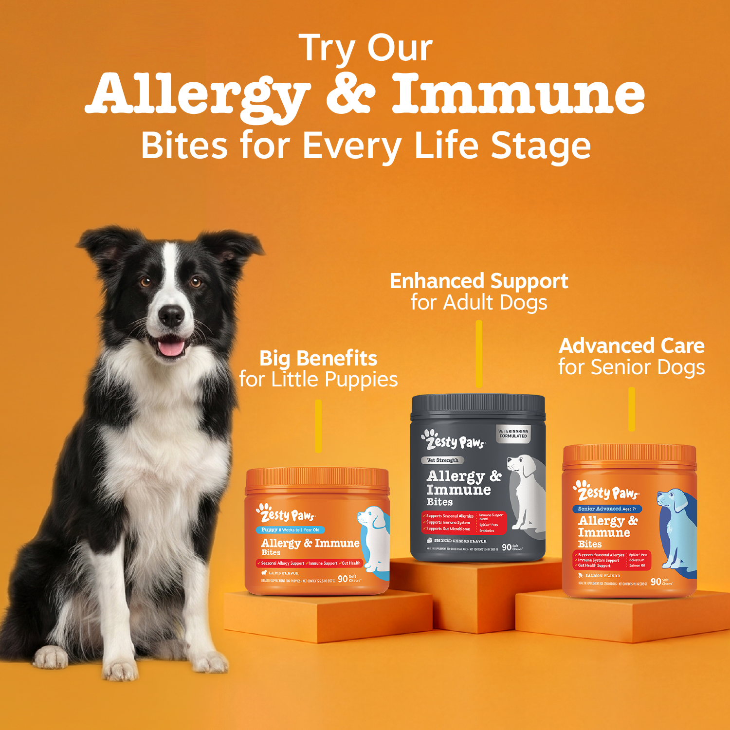 Vet Strength Allergy & Immune Bites for Dogs