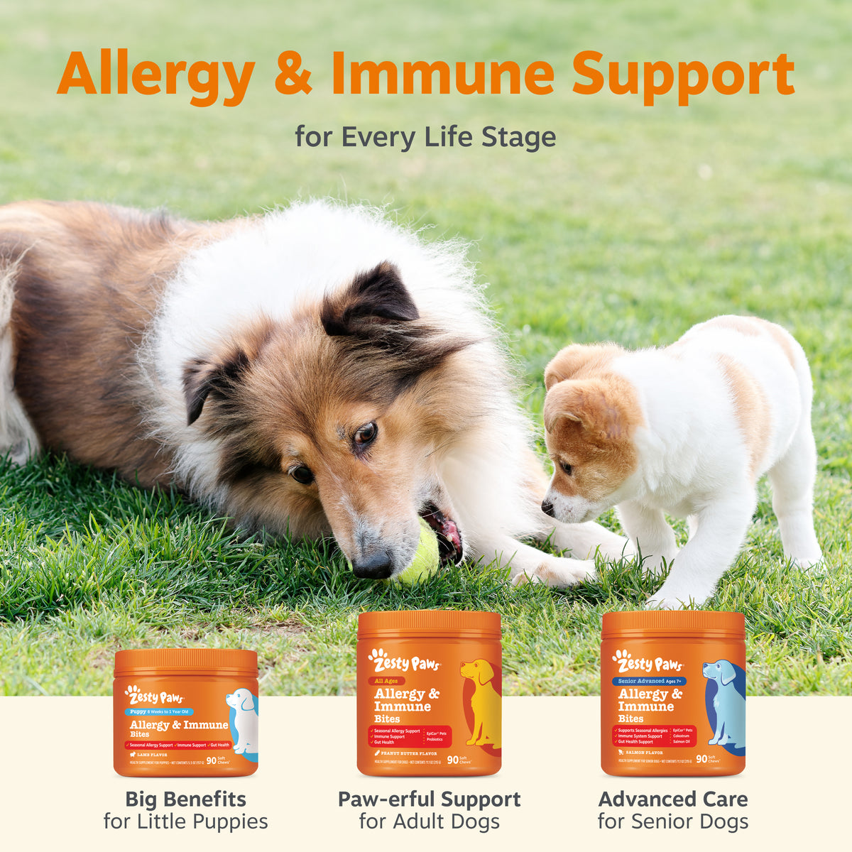 Puppy Allergy & Immune Bites