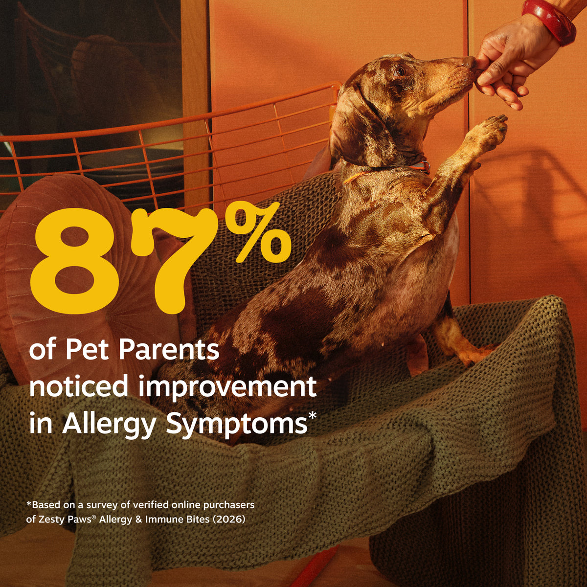 Puppy Allergy & Immune Bites