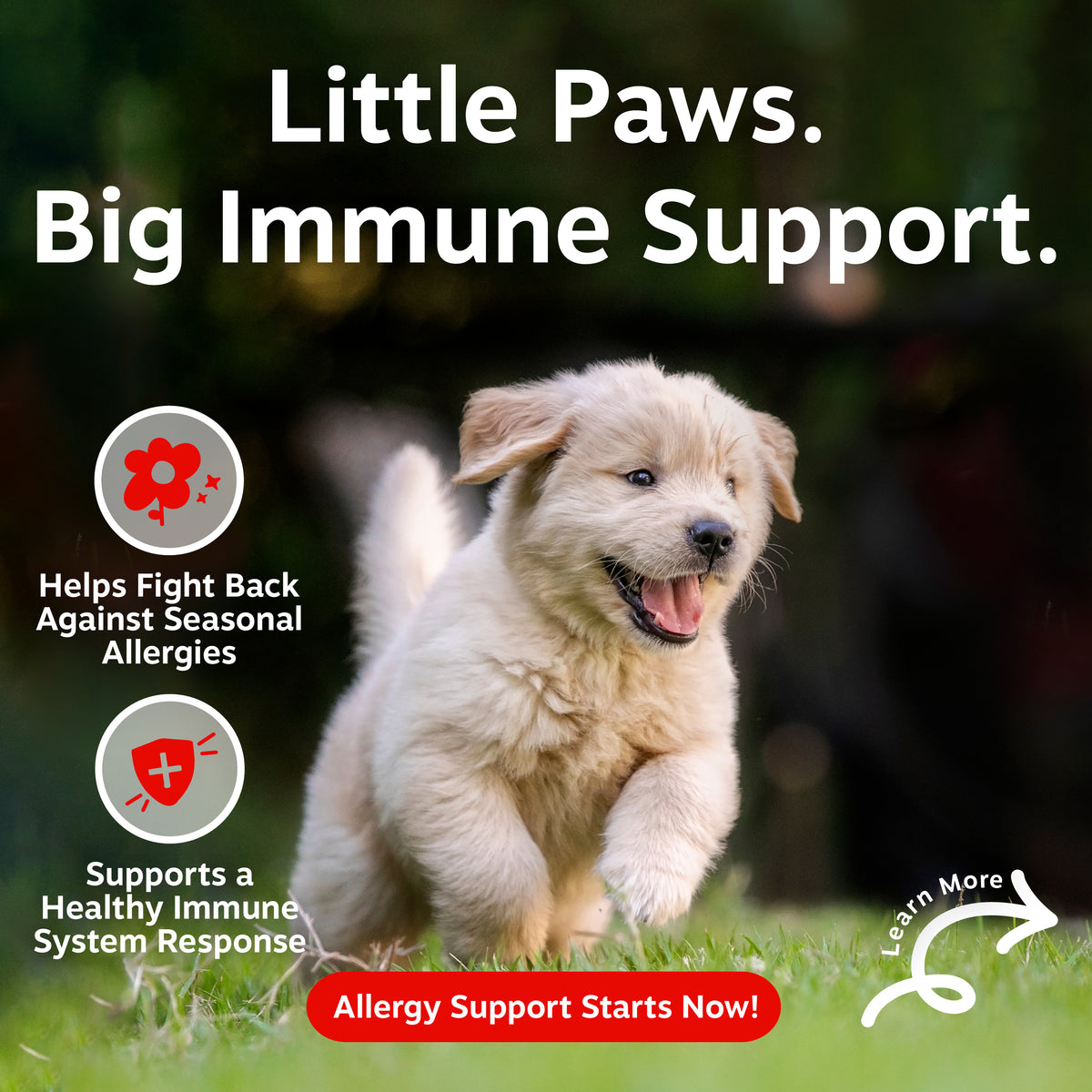 Puppy Allergy & Immune Bites