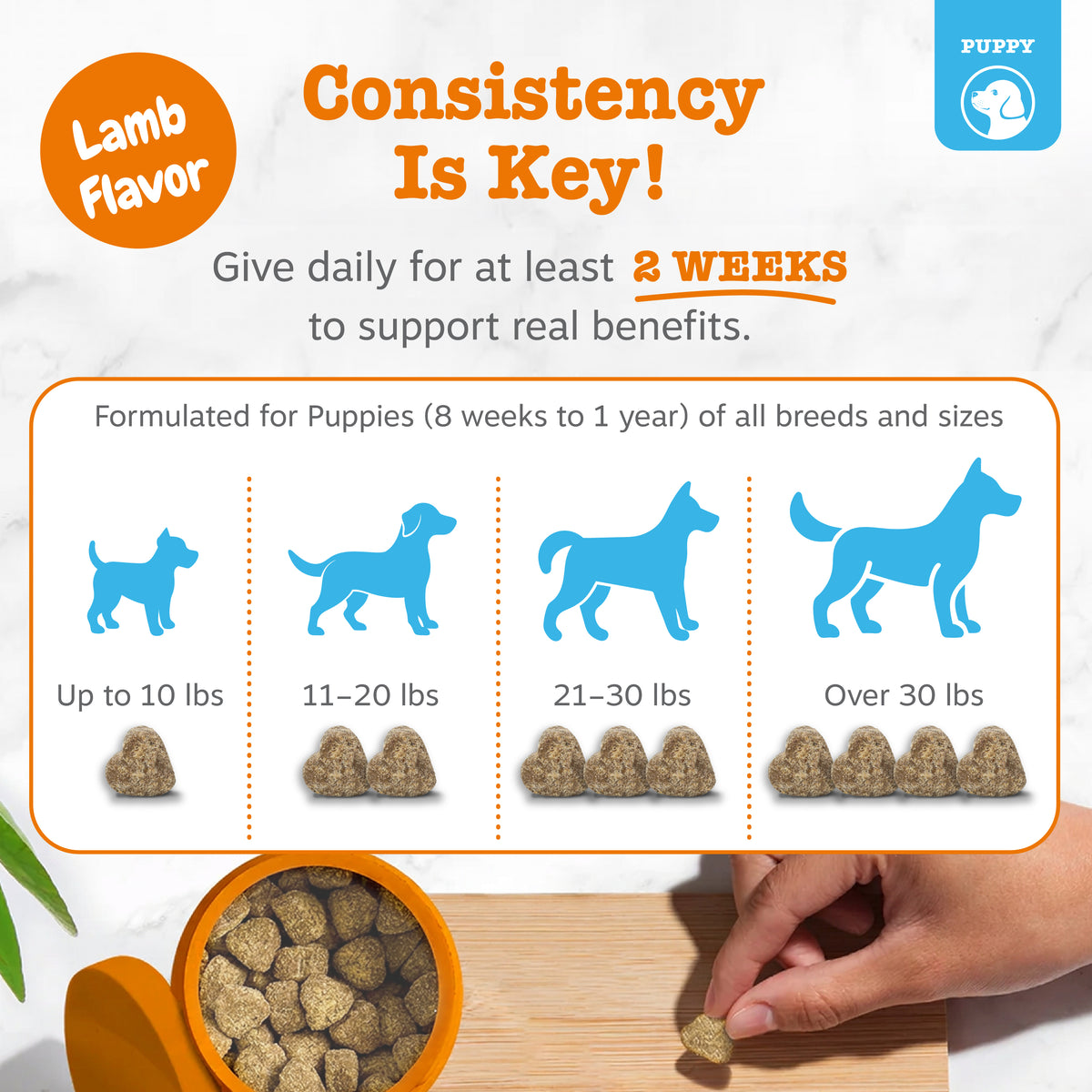 Puppy Allergy & Immune Bites