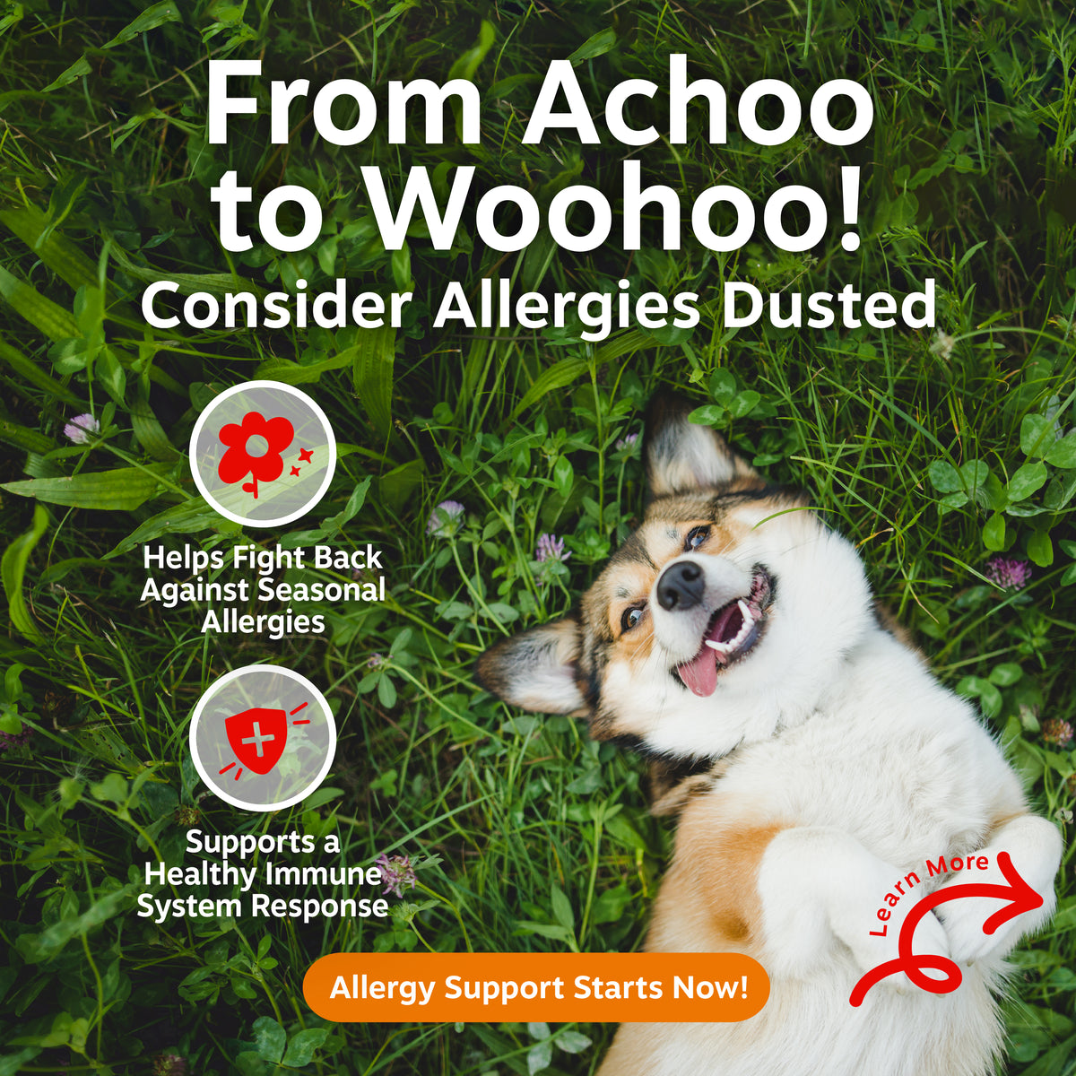 Allergy & Immune Bites for Dogs