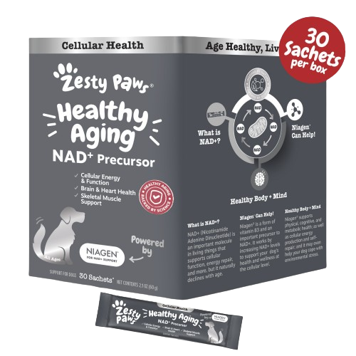 Healthy Aging NAD+ Precursor Powder Supplement For Dogs