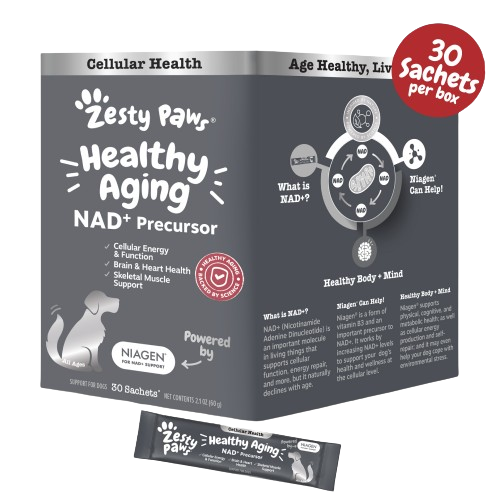 Healthy Aging Niagen Powder for Dogs