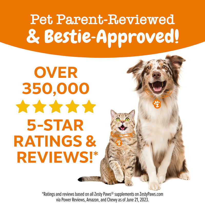 Pawsome Pumpkin Probiotic Bites™ & Salmon Oil for Dogs - 2 Pack