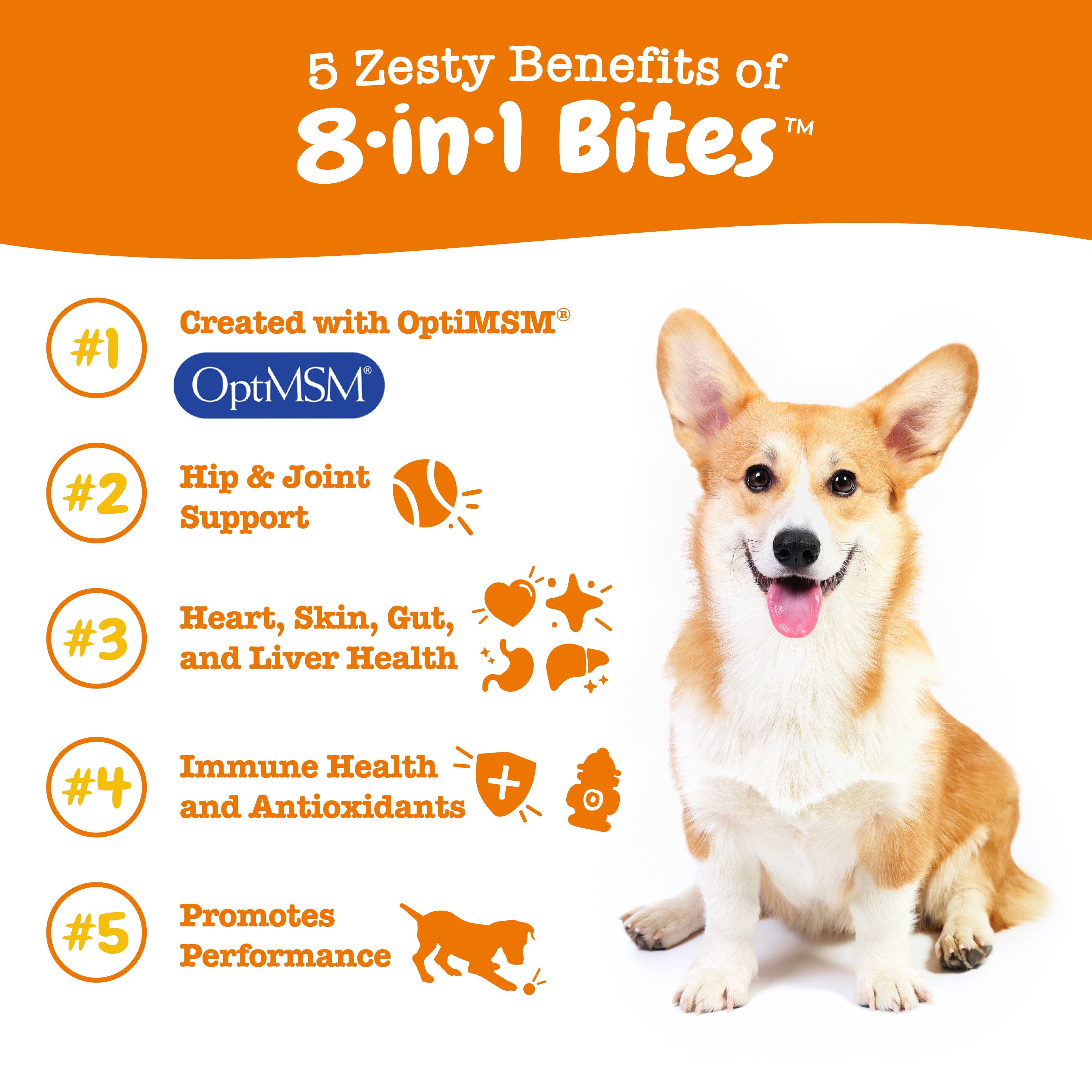 8-in-1 Multivitamin Bite for Dogs