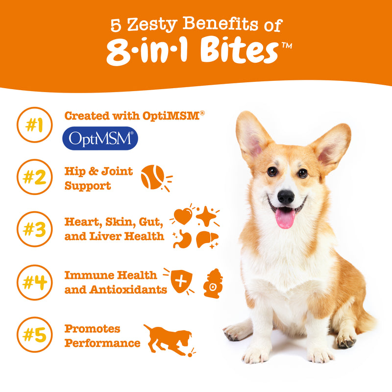 Zest Paws  8-in-1 Multifunctional Bites™ for Dogs