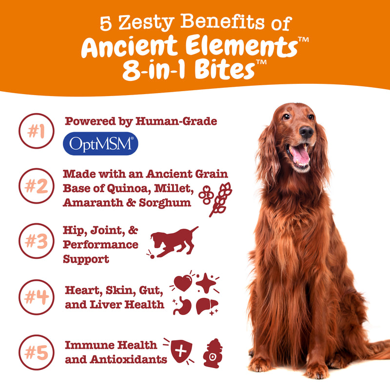 Ancient Elements™ 8-in-1 Multifunctional Bites™ for Dogs - For Joint, Digestive, Immune, Skin, Kidney Support & More, Functional Dog Supplement