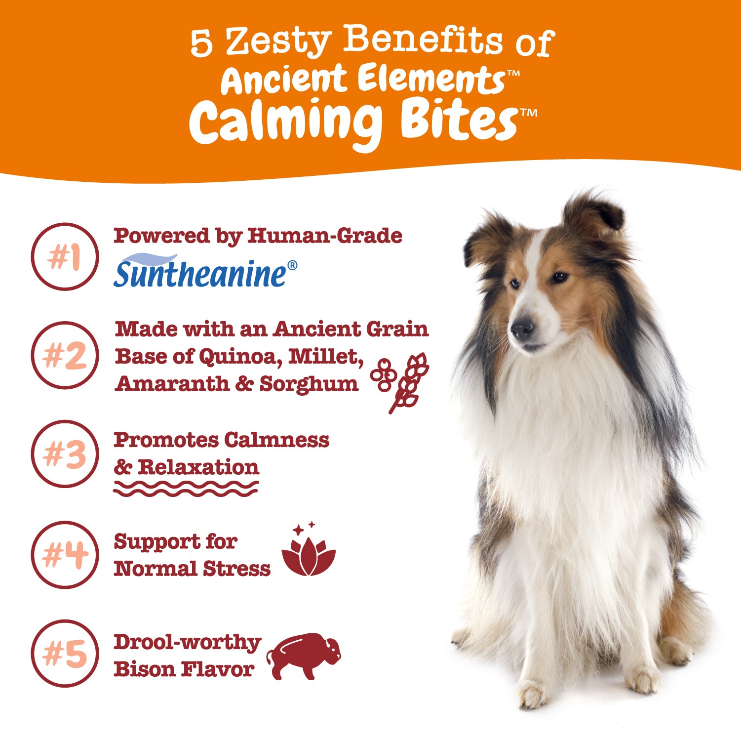 Ancient Elements™ Calming Bites™ for Dogs