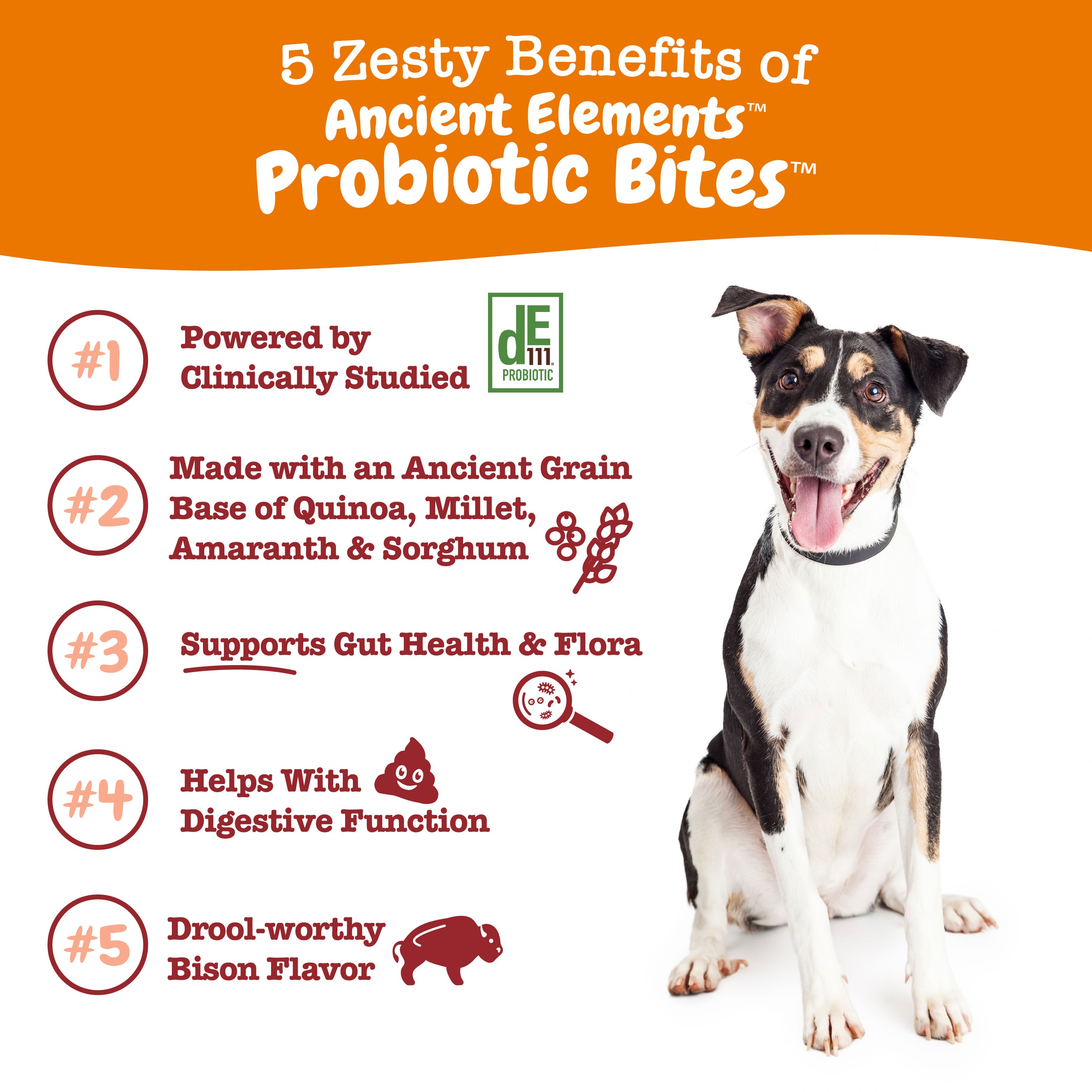 Ancient Elements™ Probiotic Bites™ for Dogs