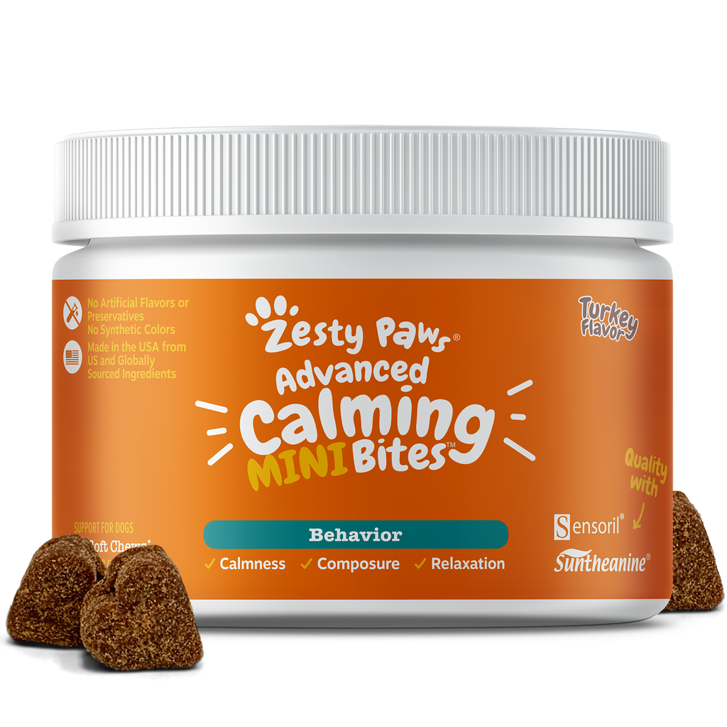 Advanced Calming Mini Bites for Small Dogs with Melatonin Composure Relaxation for Everyday Stress Separation Functional Dog Supplement