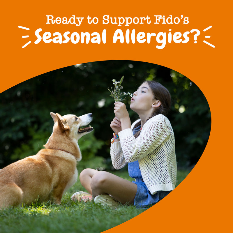 Allergy & Immune Mini Bites™ for Small Dogs, For Seasonal Allergies, Immune Function + Sensitive Skin & Gut Health