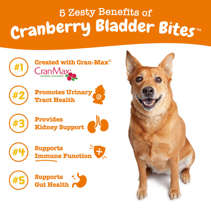 Cranberry Bladder Bites, Kidney, Bladder & Urinary Tract (UT) Support, Functional Dog Supplement