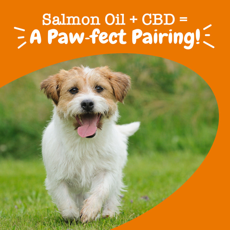 Hemp Elements™ Salmon Omega Oil for Dogs & Cats
