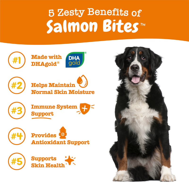 Salmon Bites™ Soft Chews for Dogs