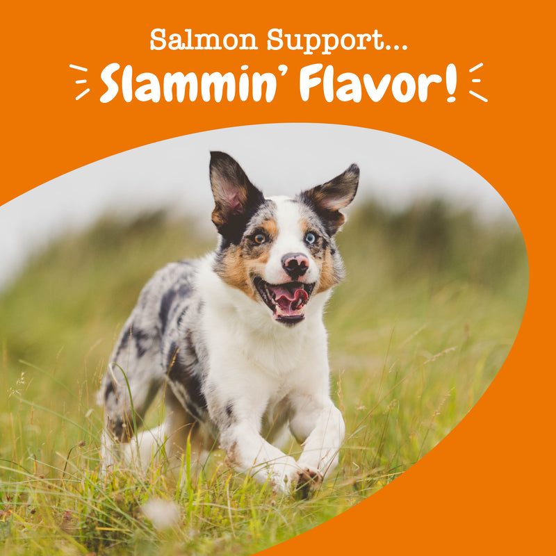 Salmon Bites™ Soft Chews for Dogs