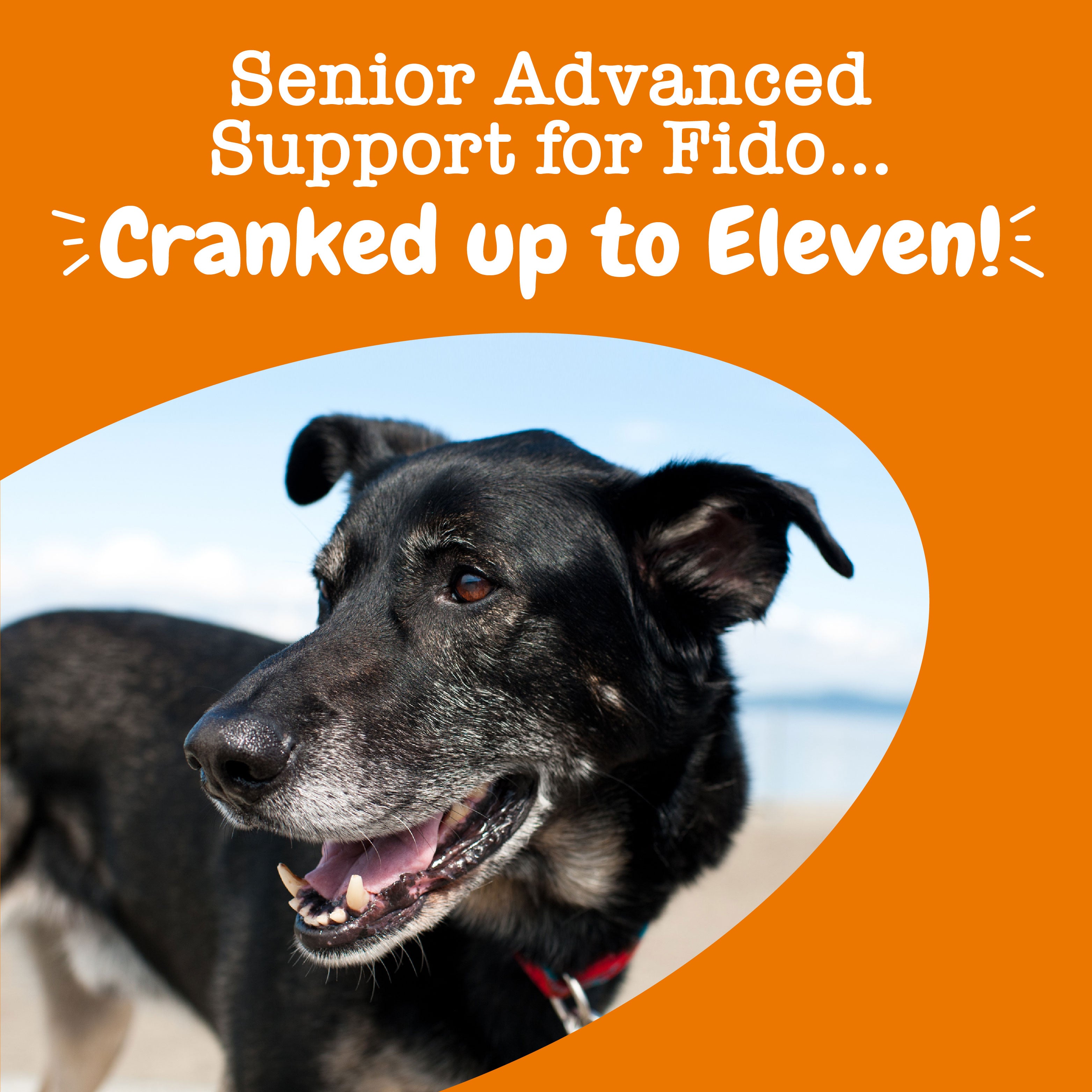 Senior Advanced 11-in-1 Multivitamin Bites for Senior Dogs