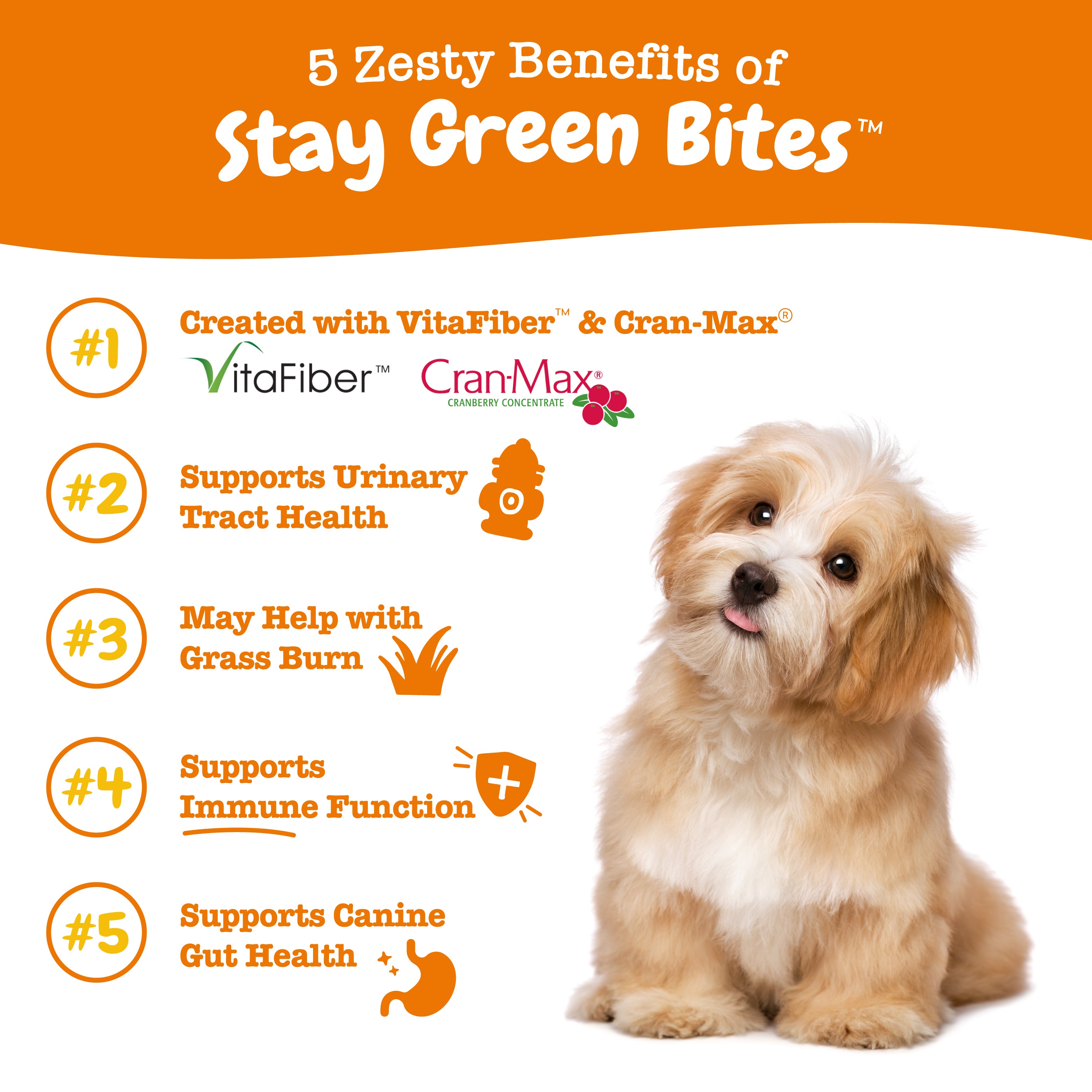 Stay Green Bites for Dogs with Cran Max Zesty Paws