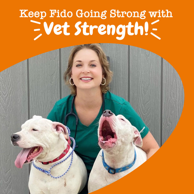 Vet Strength Hip & Joint Mobility Bites™ for Dogs - Supreme Hip & Joint Support