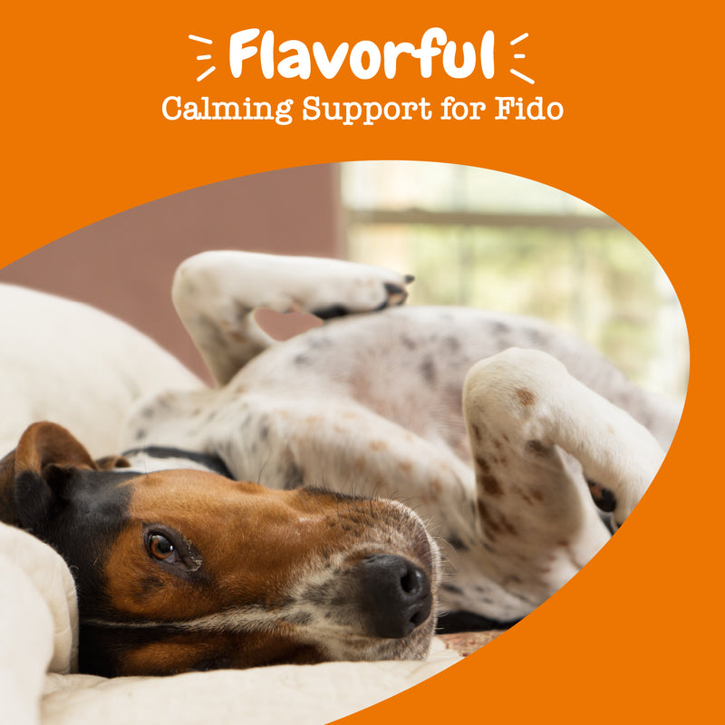 Calming Flavor Infusions™ for Dogs