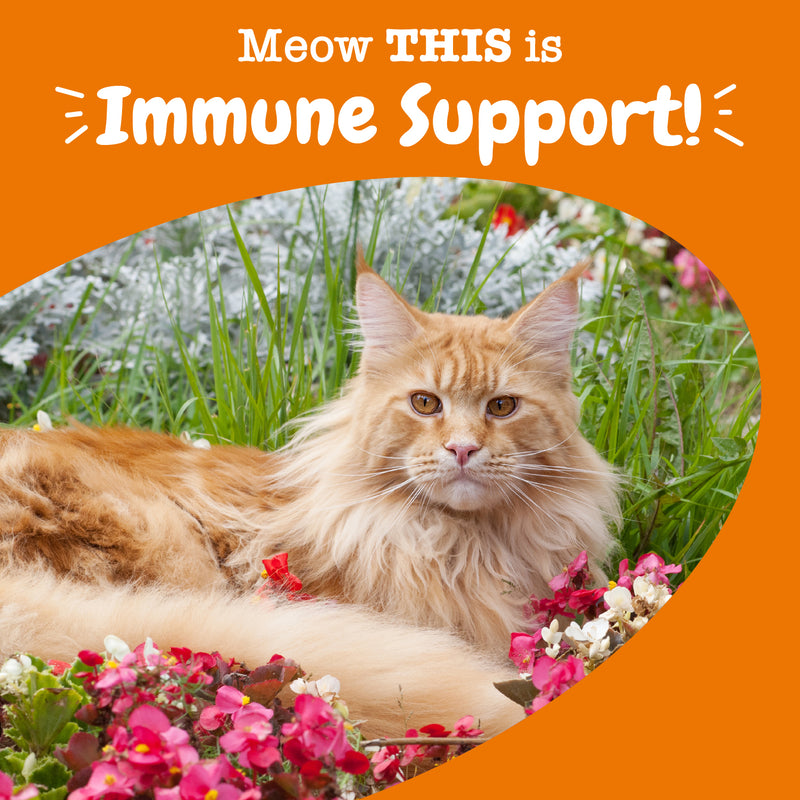 Aller-Immune Bites™ for Cats