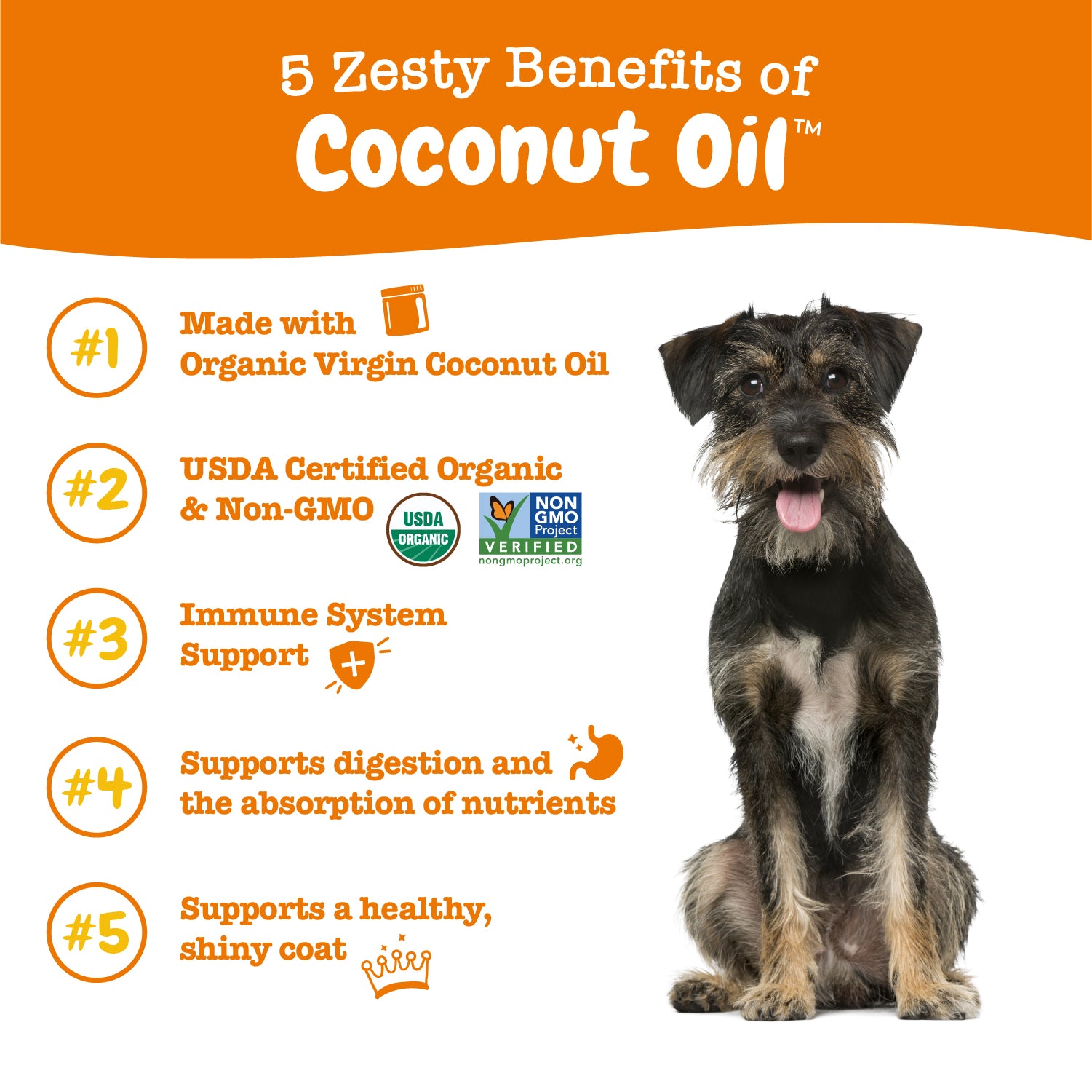 100 Certified Organic Coconut Oil for Dogs Zesty Paws