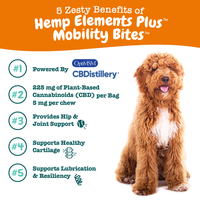Hemp Elements Plus™ Mobility Bites™ for Dogs
