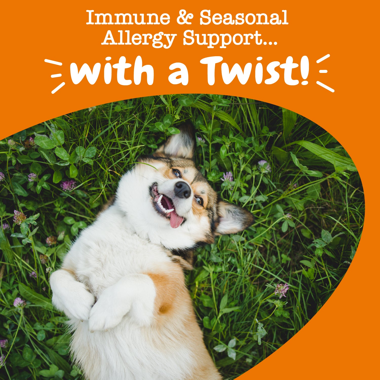 Hemp Elements Allergy Immune OraStix™ for Dogs