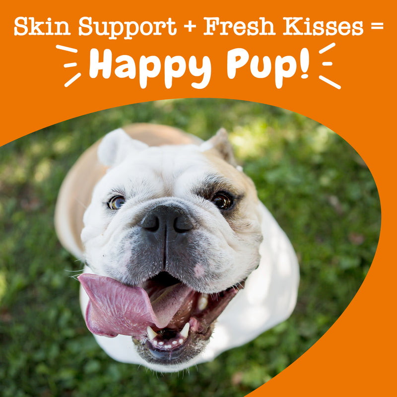 Hemp Elements™ Omega OraStix™ for Dogs
