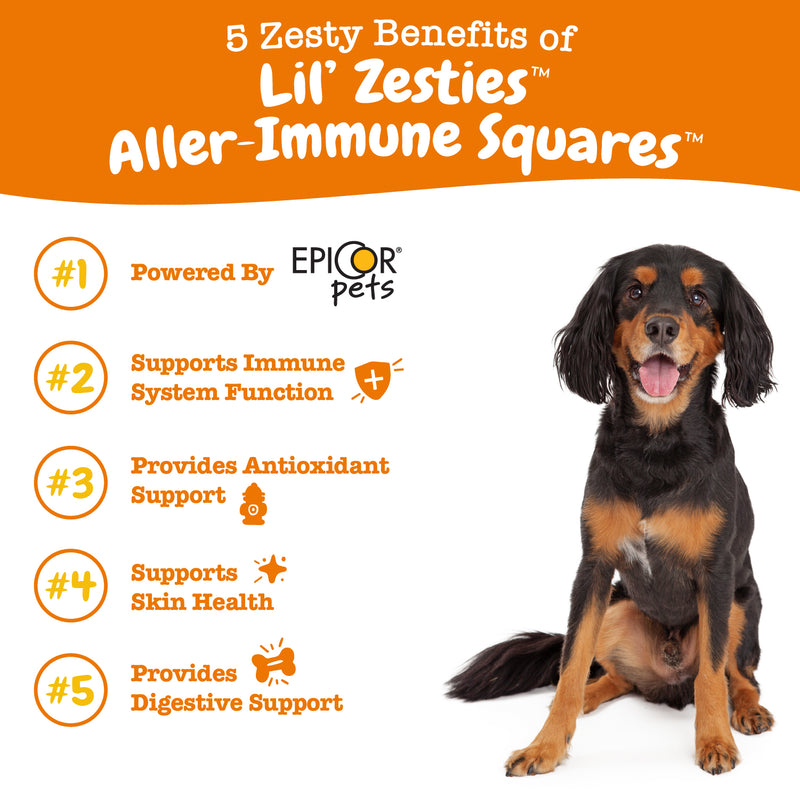 Lil' Zesties™ Aller-Immune Squares™ Chewables for Dogs