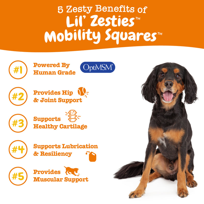 Lil' Zesties Mobility Squares™ Chewables for Dogs