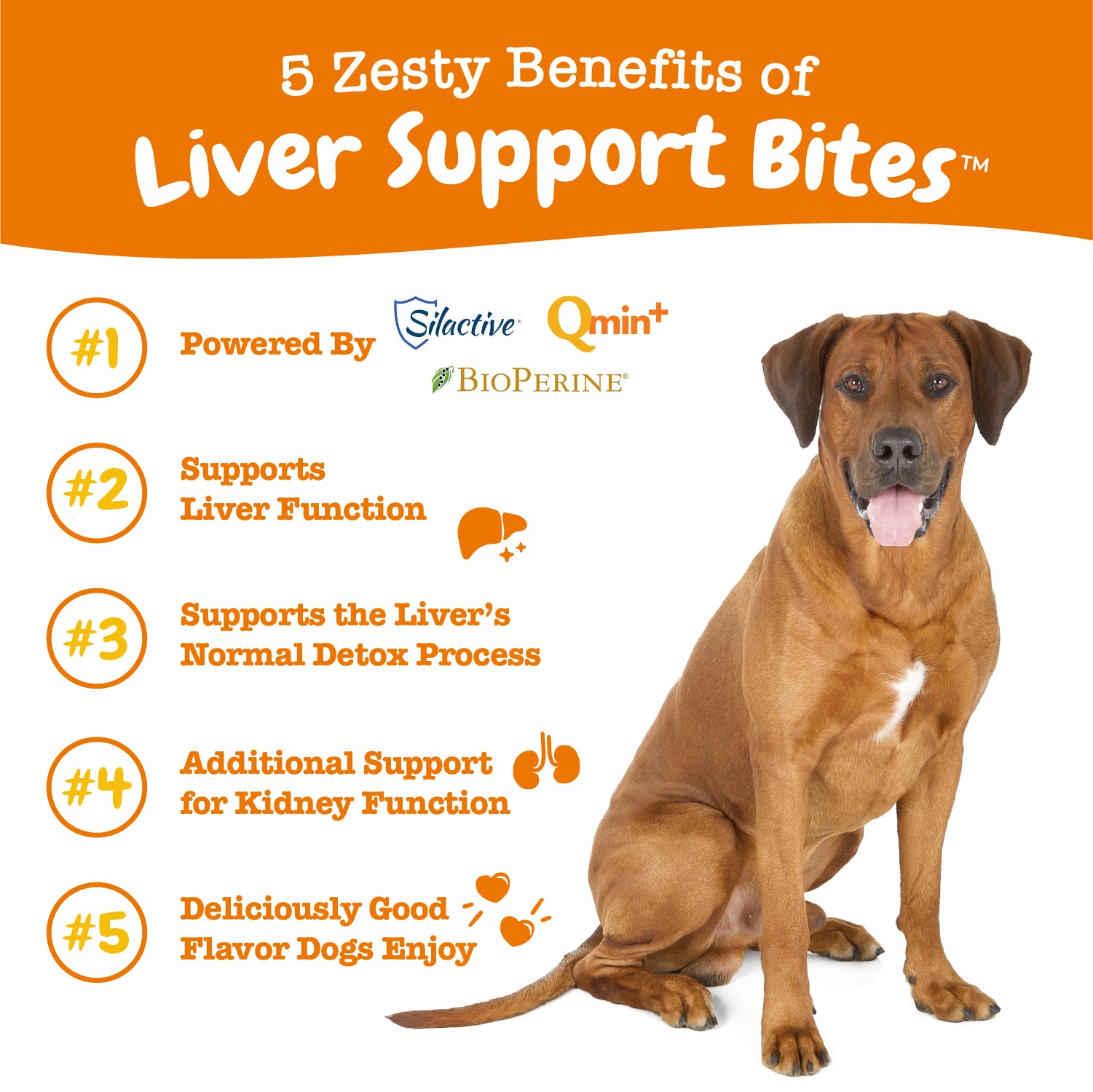 Liver Support Bites for Dogs