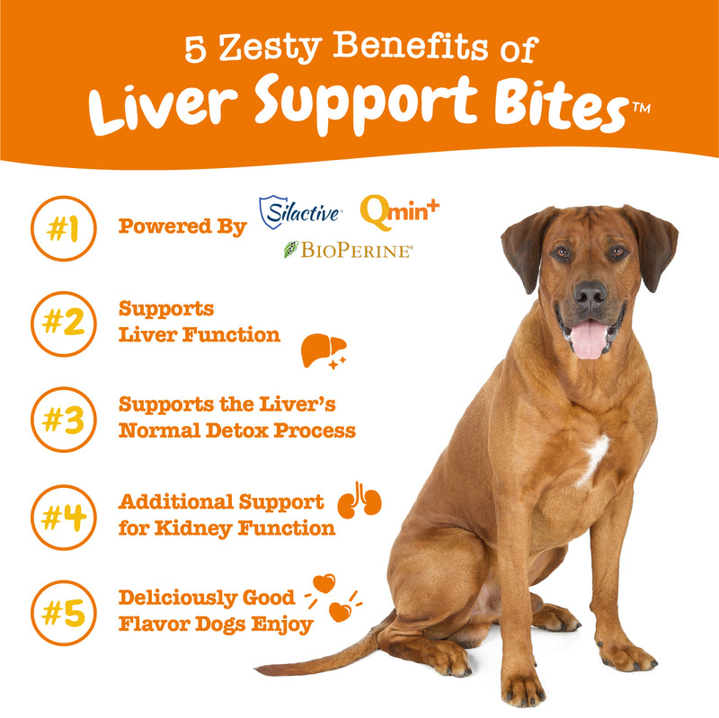 Liver Support Bites™ for Dogs