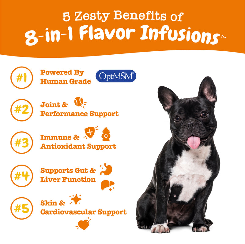 8-in-1 Flavor Infusions, Joint, Gut, Skin, Heart & More for Dogs