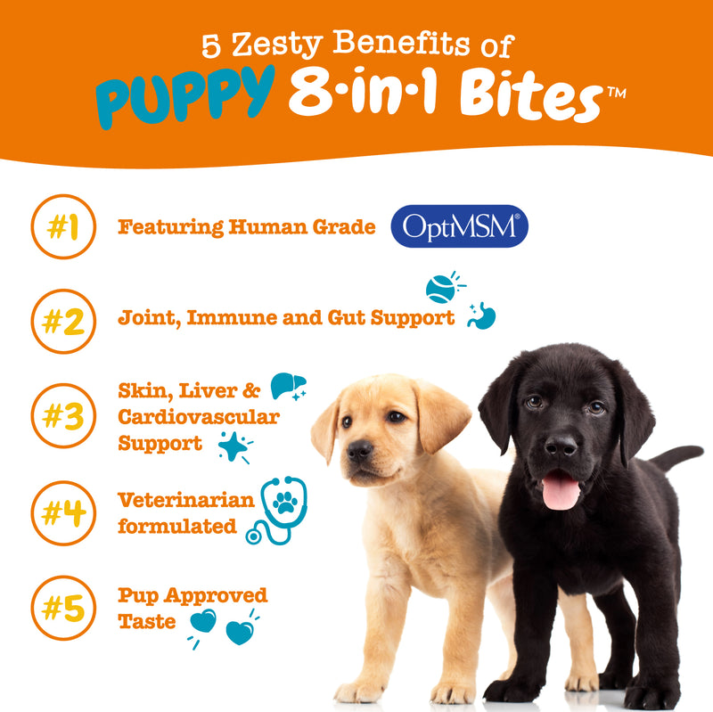 Puppy 8-in-1 Multivitamin Bites™, With Vitamins, OptiMSM®, Glucosamine, Chondroitin & Probiotics