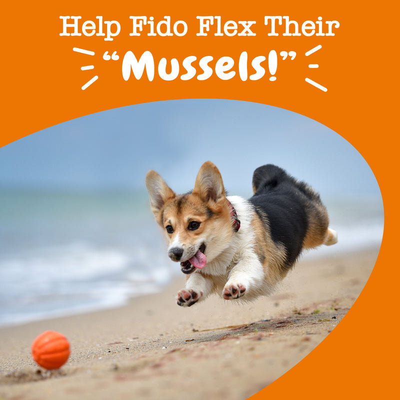 Mussel Mobility Bites™ for Dogs