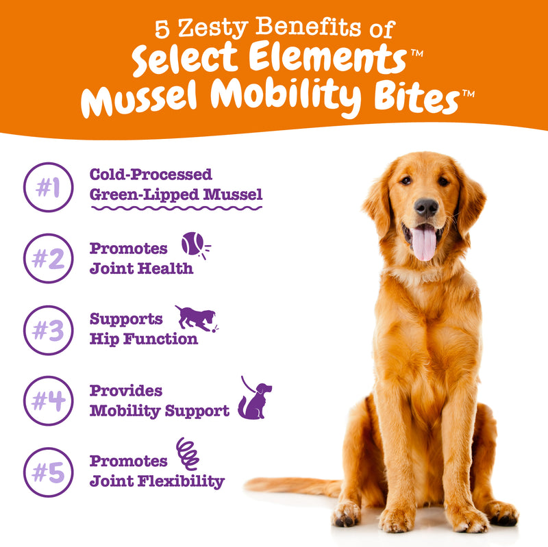 Mussel Mobility Bites™ for Dogs