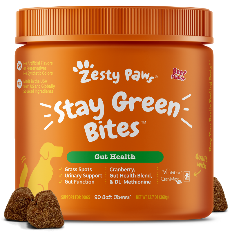 Zesty Paws Stay Green Bites For Dogs Digestion All Ages Chicken Flavor 90  Soft Chews