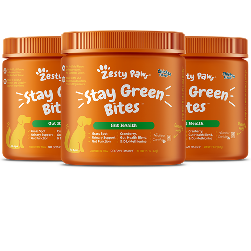 Stay Green Bites™ for Dogs