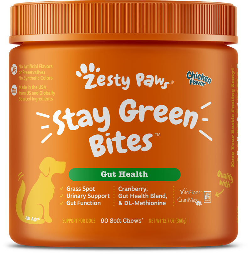 Stay Zesty Tummy 2 Pack Bundle for Dogs